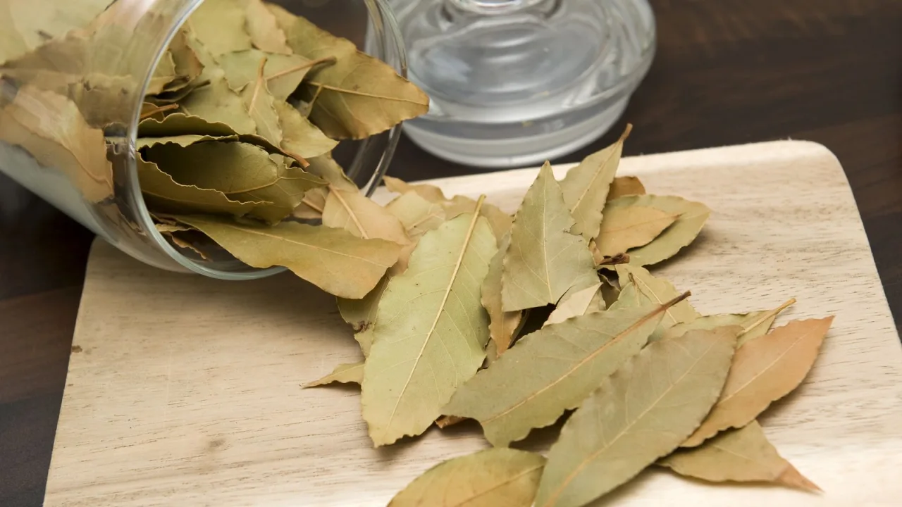 El laurel pasó de coronar césares a vivir en la cartera.