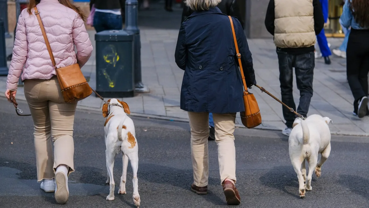 Pasear, sí. Usarlo para llamar la atención del cliente, no.