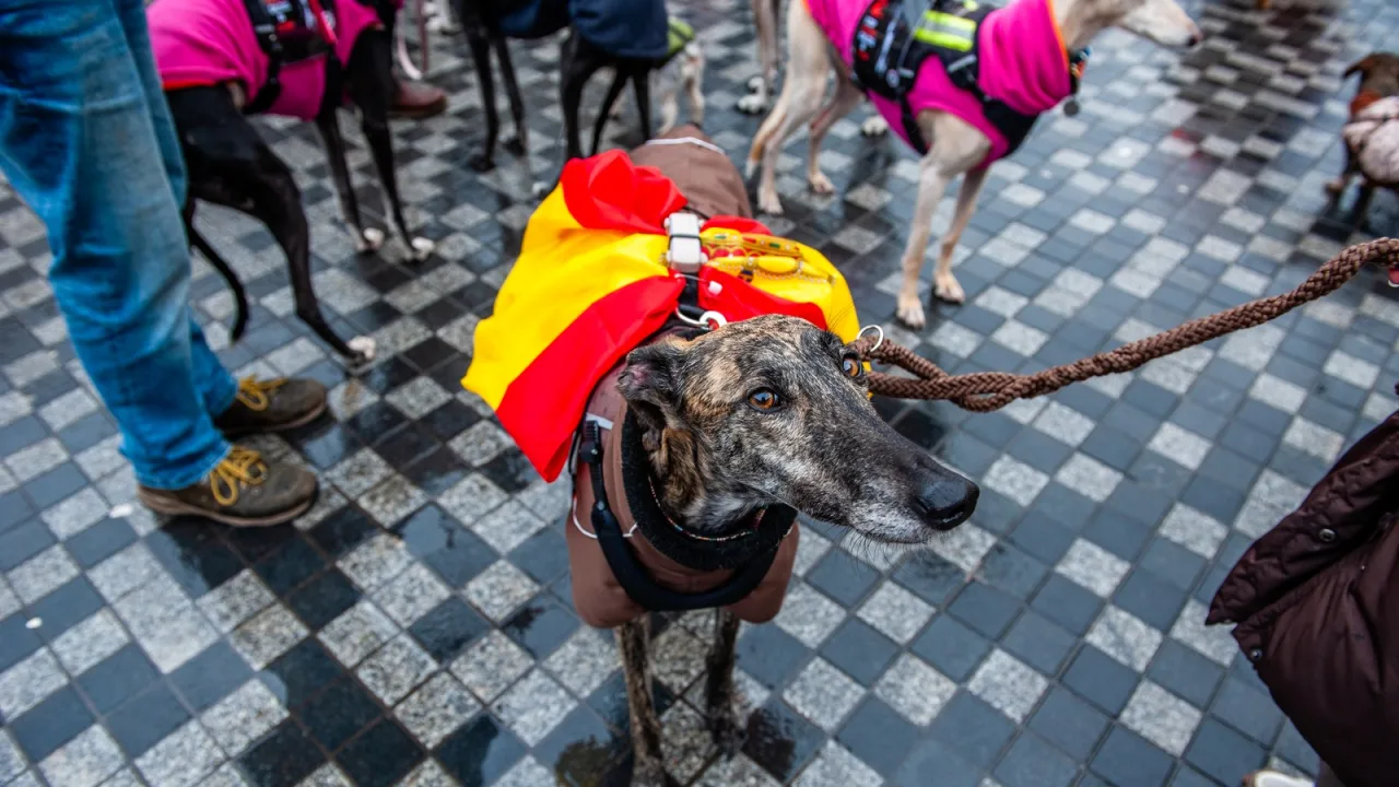 Más de cien animales y doce especies distintas.