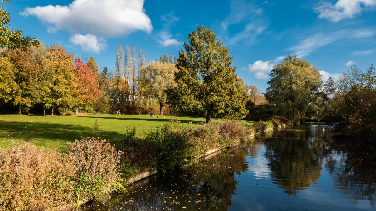 Un parque en otoño bajo cielo azul: noviembre aún guarda días de calor.