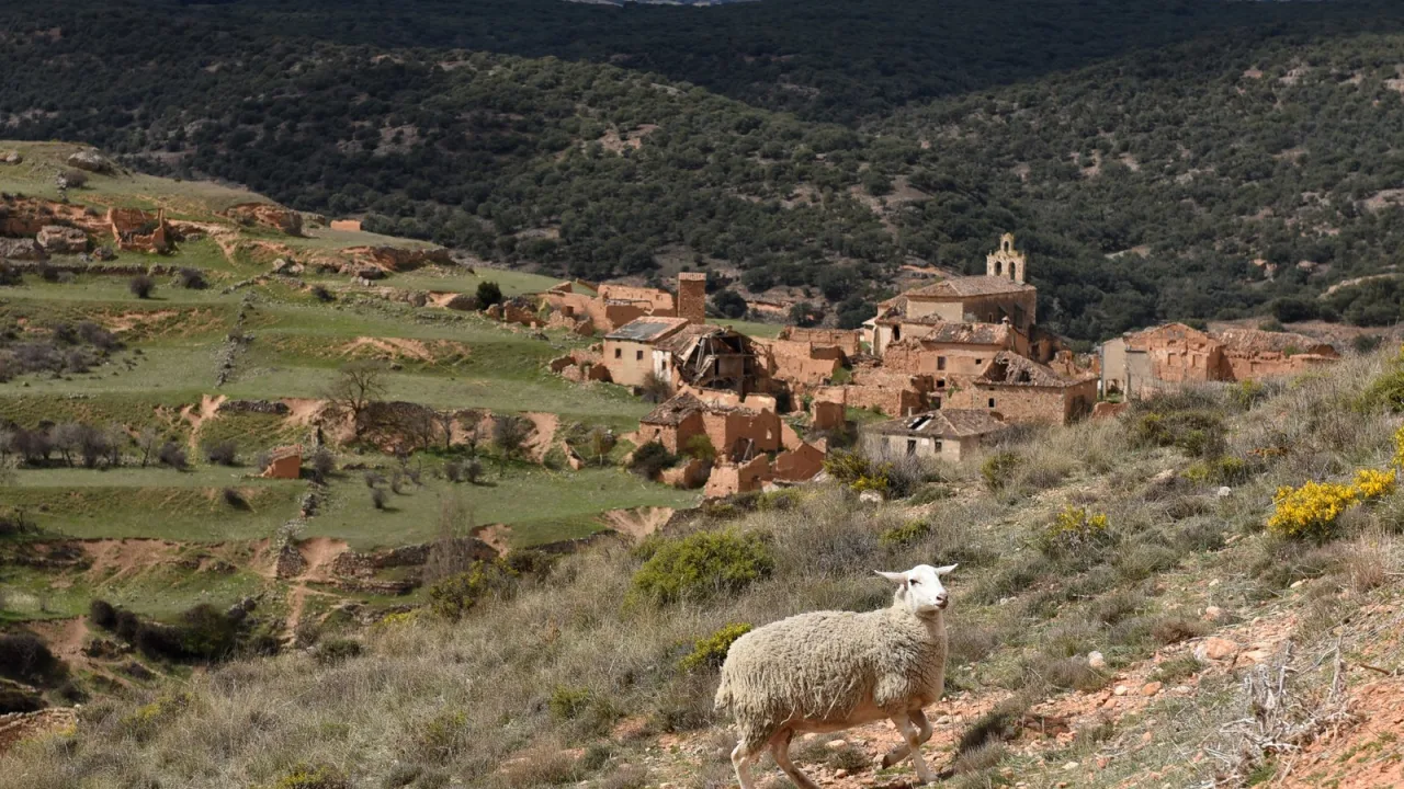 Pueblos de Soria entre montes: la tranquilidad que buscaban los primos.