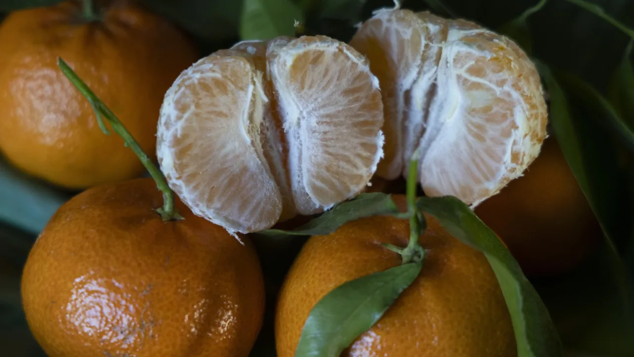 Hojas verdes y brillantes: la fruta se recogió hace poco.