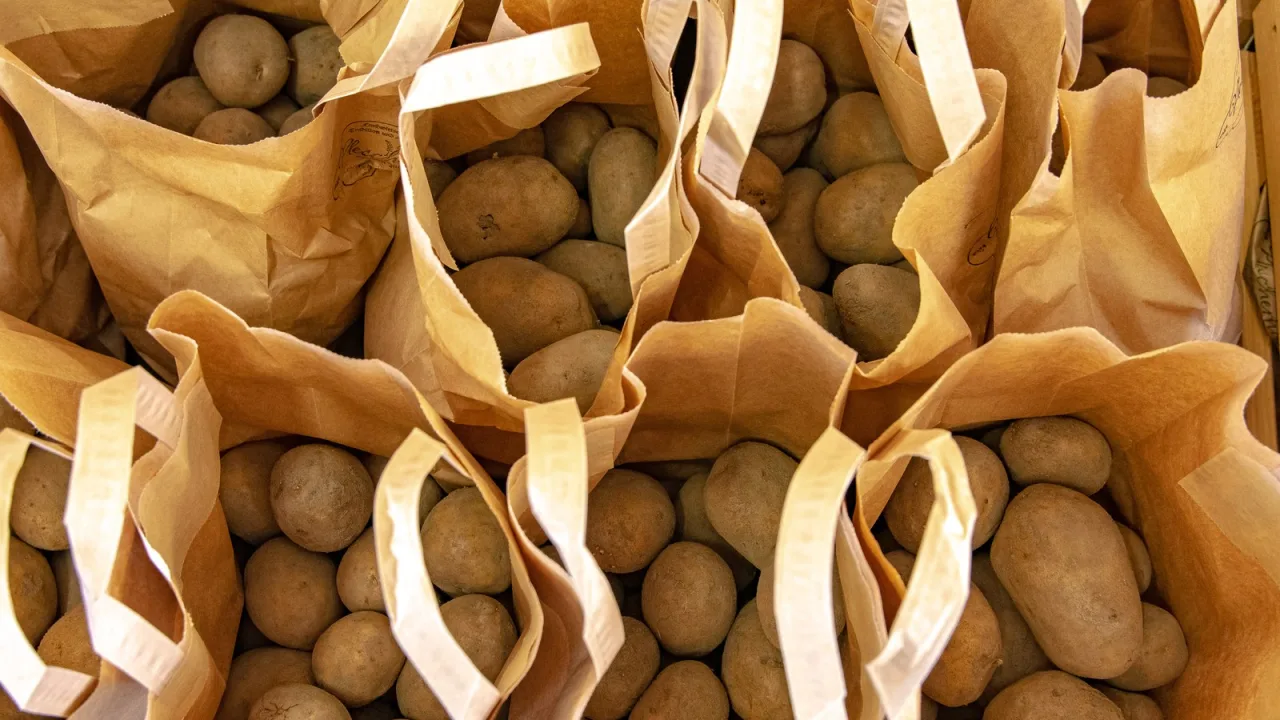 Mejor en bolsa de papel que en plástico cerrado.