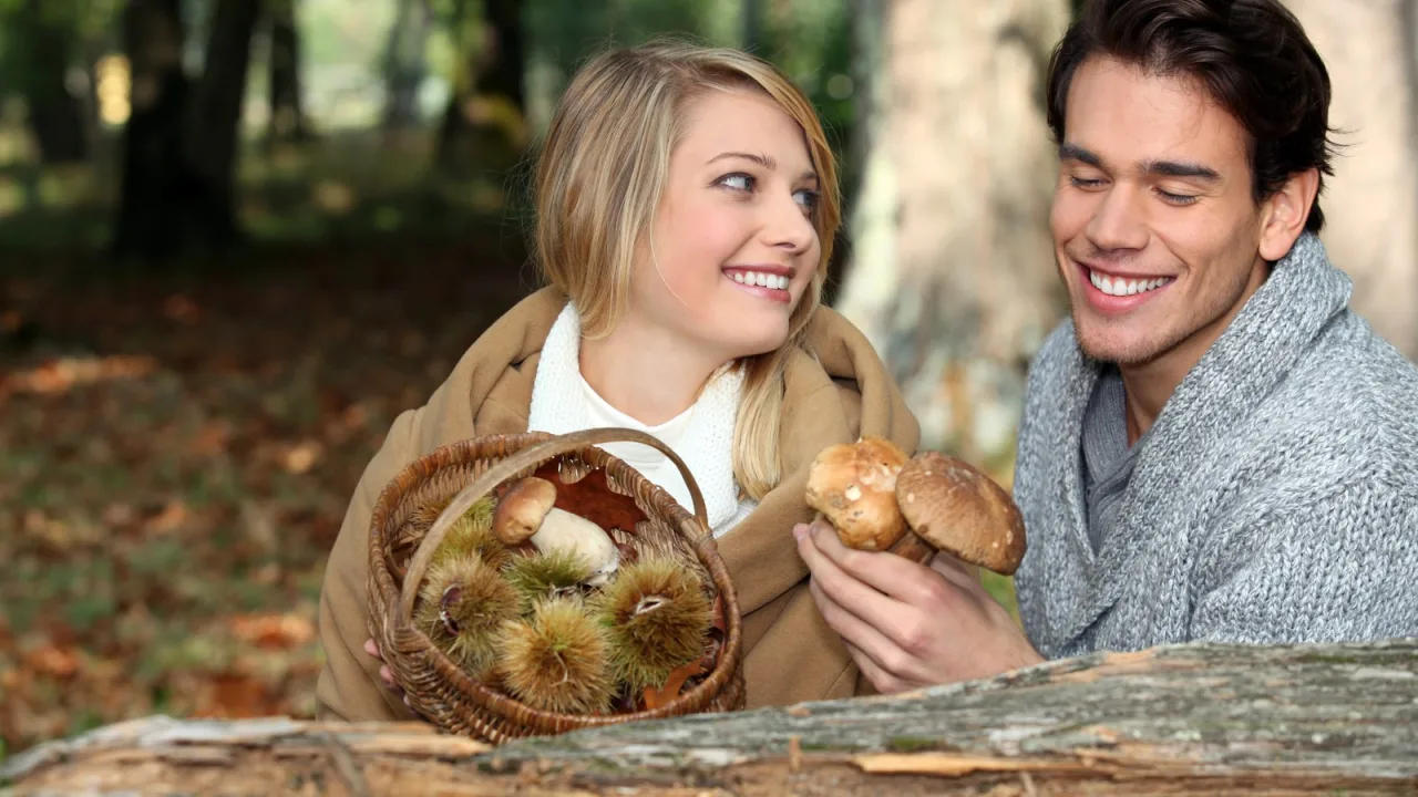 Cesta en mano: el paseo de otoño que, sin permiso, puede acabar en multa.