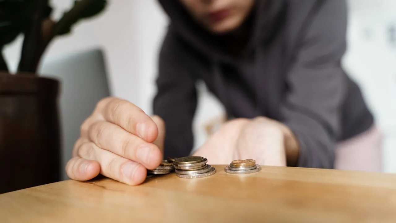 733,60 euros al mes es el suelo garantizado para una persona sola.