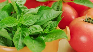 Tomate y albahaca fresca: la base de la vinagreta que propone Berasategui.